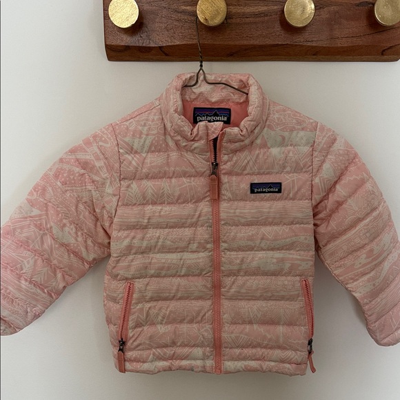 Patagonia Other - Patagonia Down Sweater Jacket